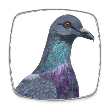 Taube - Viereckiger Kühlschrankmagnet - Weiß - Vorne
