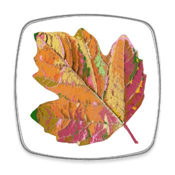 feuille colorée, feuillage, arbre, coloré, saison, automne - Magnet carré - blanc - Devant