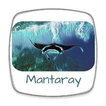 Manta Mantaray Mantarochen - Viereckiger Kühlschrankmagnet - Weiß - Vorne