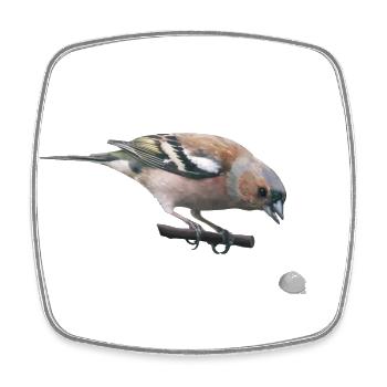 Chaffinch - Square fridge magnet - white - Front