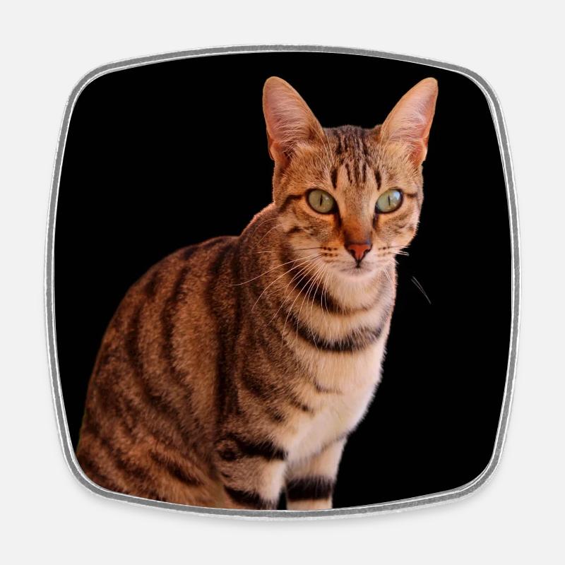 Chat chat chaton doux - Magnet carré - blanc