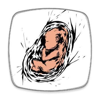 Schwangerschaft Baby Embryo - Viereckiger Kühlschrankmagnet - Weiß - Vorne