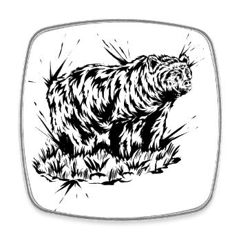 Grizzly Bear - Square fridge magnet - white - Front