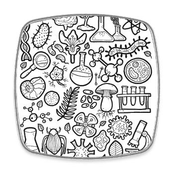 Biology Doodle - Square fridge magnet - white - Front