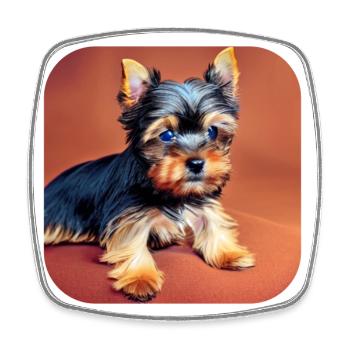 Yorkshire Terrier Puppy - Square fridge magnet - white - Front