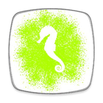 Sea horse - Square fridge magnet - white - Front