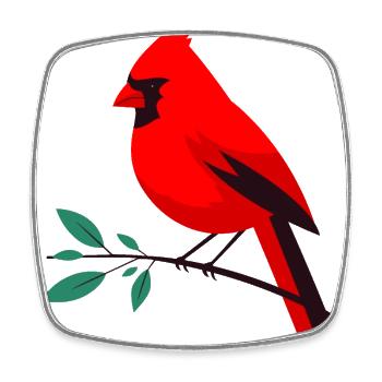 Gaudy cardinal on branch - Square fridge magnet - white - Front