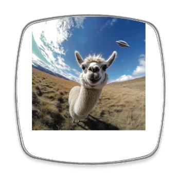 Selfie de lama avec des OVNI, plus bizarre - Magnet carré - blanc - Devant