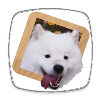 Samoyed puppy in a frame - Square fridge magnet - white - Front