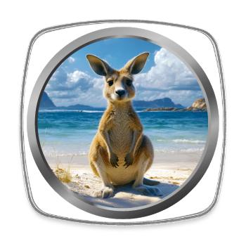 Kangaroo Animal - Square fridge magnet - white - Front