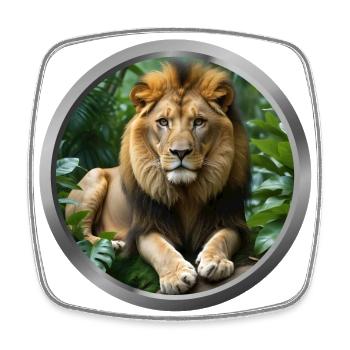 Lion Animal - 2 - Square fridge magnet - white - Front