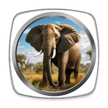 Elephant Animal - 3 - Square fridge magnet - white - Front