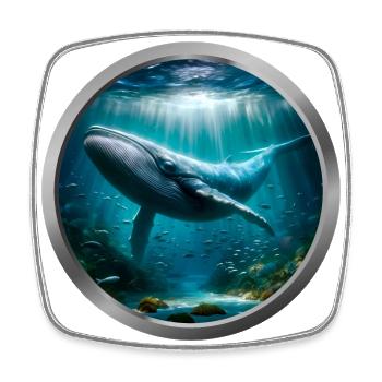 Humpback Whale - 2 - Square fridge magnet - white - Front