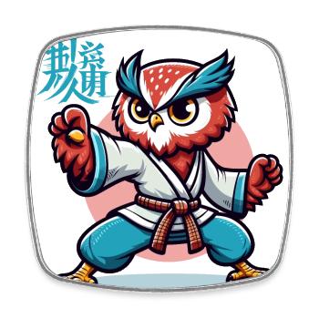 KUNG FU EULE 2 - Viereckiger Kühlschrankmagnet - Weiß - Vorne