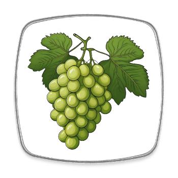 Grapes - Square fridge magnet - white - Front