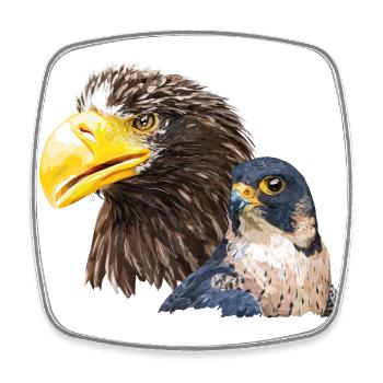 Giant pigargo and peregrine falcon - Square fridge magnet - white - Front