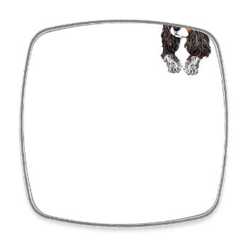 Cavalier King Charles Spaniel - Viereckiger Kühlschrankmagnet - Weiß - Vorne