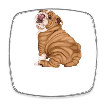 Englische Bulldogge - Viereckiger Kühlschrankmagnet - Weiß - Vorne