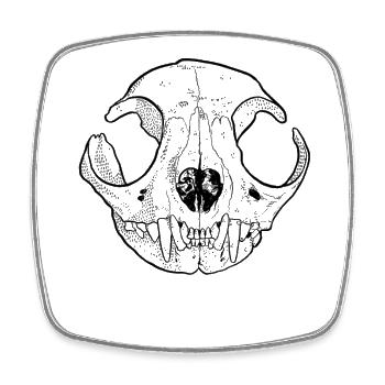 Cats Skull Skull Skull - Square fridge magnet - white - Front