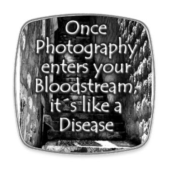 phtotography disease white - Square fridge magnet - white - Front