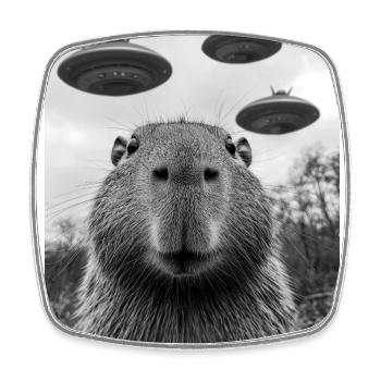 Capybara UFO Aliens - Square fridge magnet - white - Front