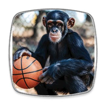 Chimpanzee Basketball - Square fridge magnet - white - Front
