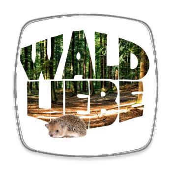 Forest 20 Forest Love with Hedgehog - Square fridge magnet - white - Front