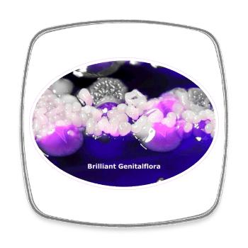 Brilliant genital flora - Square fridge magnet - white - Front