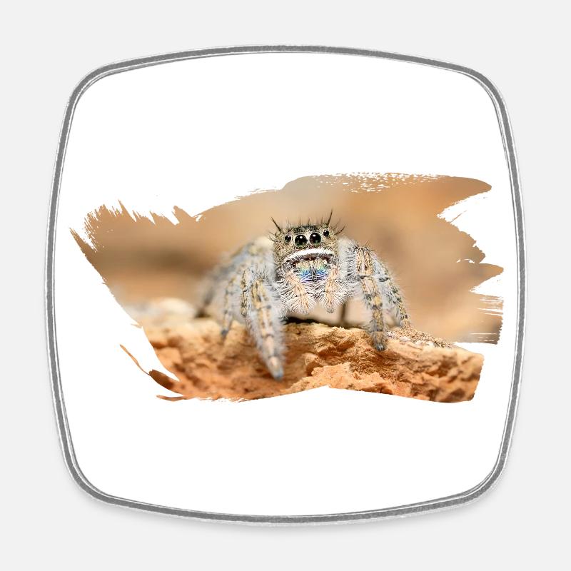 Phidippus texanus jumping spider, spring spinne. - Square fridge magnet - white