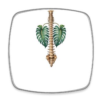 Botanische Anatomie der Wirbelsäule und der Monstera - Viereckiger Kühlschrankmagnet - Weiß - Vorne