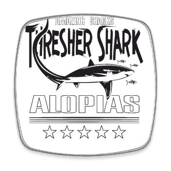 Thresher Shark, thresher shark, Alopias, diving - Square fridge magnet - white - Front