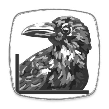 Raven, raven, crow, black bird - Square fridge magnet - white - Front