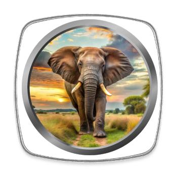 Elephant Animal - Square fridge magnet - white - Front