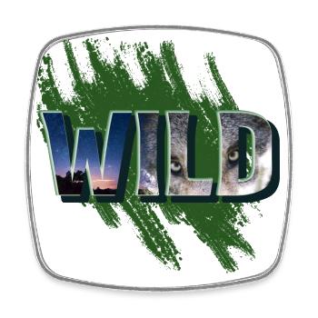 Cool wild inscription with a wolf - Square fridge magnet - white - Front
