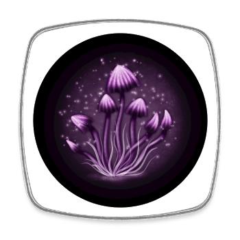 Magic mushrooms - Viereckiger Kühlschrankmagnet - Weiß - Vorne