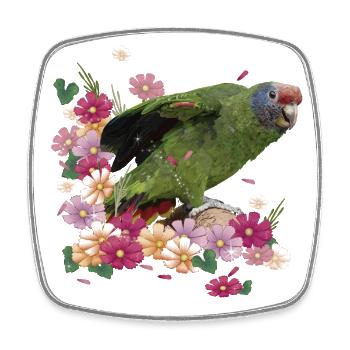 The Red-tailed Parrot - Square fridge magnet - white - Front