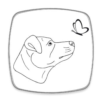 Jack Russell Terrier mit Schmetterling - Viereckiger Kühlschrankmagnet - Weiß - Vorne