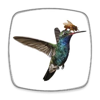 Colibri and Bee - Square fridge magnet - white - Front