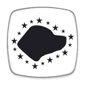 American Staffordshire Terrier - Viereckiger Kühlschrankmagnet - Weiß - Vorne