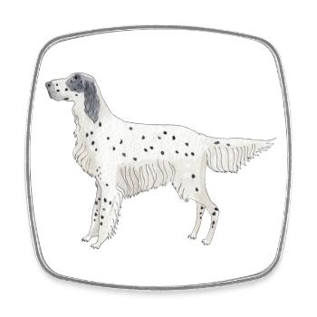 English Setter Lustige Hunde - Viereckiger Kühlschrankmagnet - Weiß - Vorne