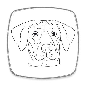 Rhodesian Ridgeback - Viereckiger Kühlschrankmagnet - Weiß - Vorne