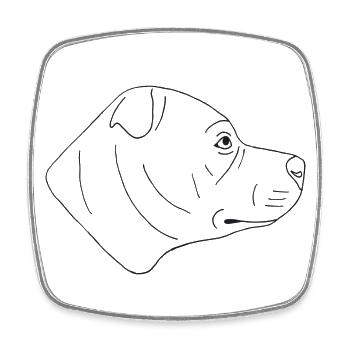 American Staffordshire Terrier - Viereckiger Kühlschrankmagnet - Weiß - Vorne