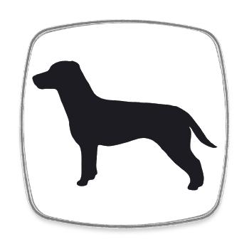 Jack Russell Terrier Silhouette - Viereckiger Kühlschrankmagnet - Weiß - Vorne