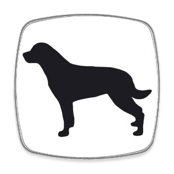 Rottweiler Silhouette - Viereckiger Kühlschrankmagnet - Weiß - Vorne