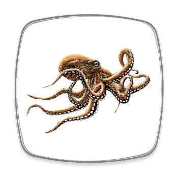 OCTOPUS - Square fridge magnet - white - Front