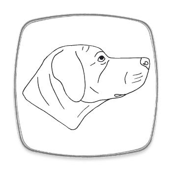 Rhodesian Ridgeback - Viereckiger Kühlschrankmagnet - Weiß - Vorne