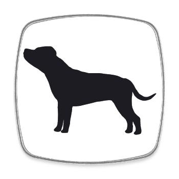 Staffordshire Bullterrier Silhouette - Viereckiger Kühlschrankmagnet - Weiß - Vorne