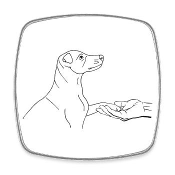 Jack Russell Terrier mit Hand - Viereckiger Kühlschrankmagnet - Weiß - Vorne