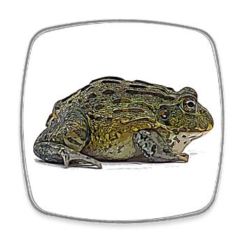 Afrikanischer Ochsenfrosch - Viereckiger Kühlschrankmagnet - Weiß - Vorne