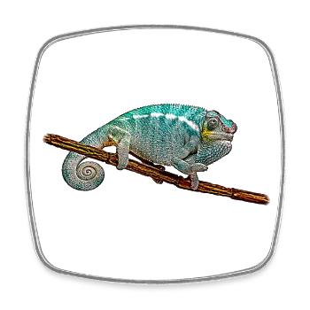 Chameleon - Square fridge magnet - white - Front